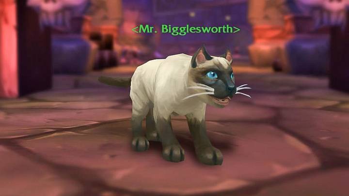 How Many Legendaries in Shadowlands