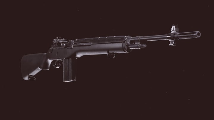 How well should the DMR 14 perform after a nerf? How well should the DMR 14 perform after a nerf?