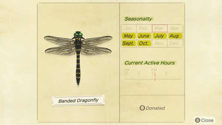 Banded Dragonfly Animal Crossing: New Horizons will give players a run for their money—literally.