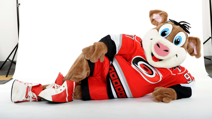 OTTAWA, ON – JANUARY 26: Stormy, mascot for the Carolina Hurricanes, poses for a portrait during 2012 NHL All-Star Weekend at Ottawa Convention Centre on January 26, 2012 in Ottawa, Canada. (Photo by Matt Zambonin/Freestyle Photo/Getty Images)