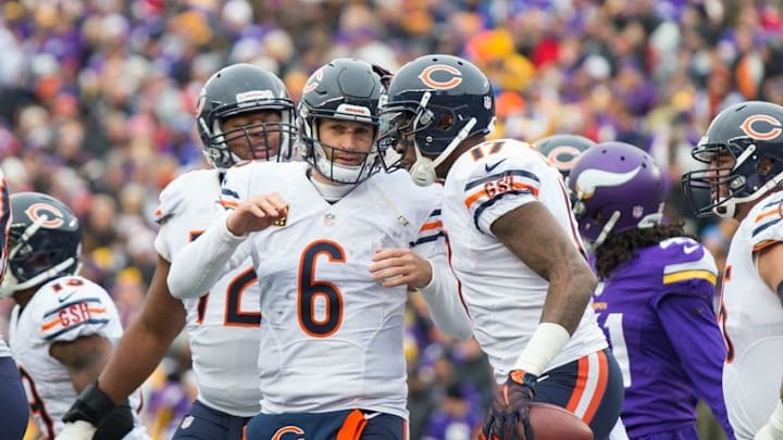 Dec 20, 2015; Minneapolis, MN, USA; Chicago Bears quarterback Jay Cutler (6) and wide receiver Alshon Jeffery (17) celebrate a touchdown in the second quarter against the Minnesota Vikings at TCF Bank Stadium. Mandatory Credit: Brad Rempel-USA TODAY Sports