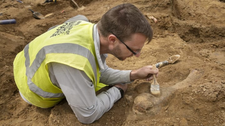 Dr. Tyler Lyson, curator of paleontology at the Denver Museum of Nature & Science, brushes dirt away from a newly uncovered horned dinosaur fossil at a construction site in Highlands Ranch, Colorado.