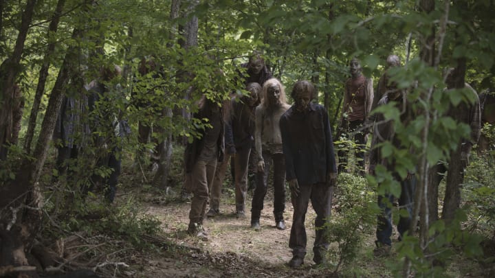 - The Walking Dead _ Season 9, Episode 5 - Photo Credit: Gene Page/AMC