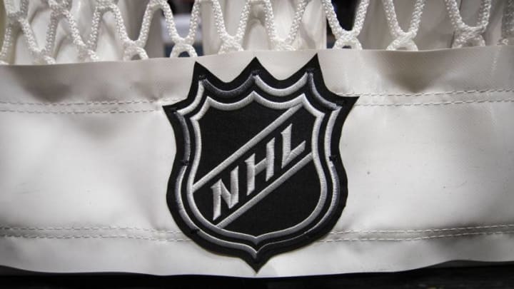 A detailed view of the NHL logo. (Photo by Scott Taetsch/Getty Images)