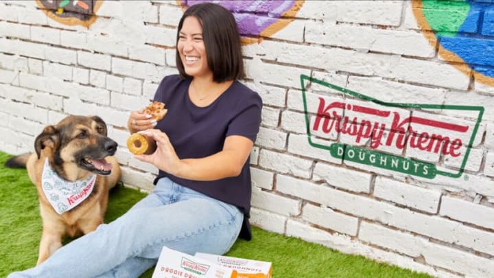 Krispy Kreme’s Pup’kin Spice Doggie Doughnuts for National Dog Day, photo provided by Krispy Kreme