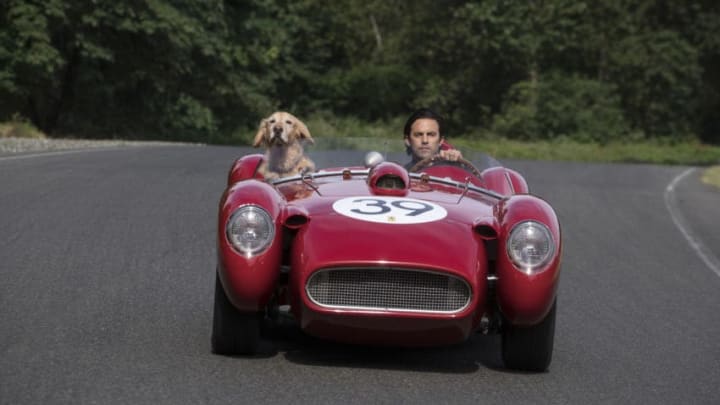 L-R: “Enzo” and Milo Ventimiglia in Twentieth Century Fox’s, THE ART OF RACING IN THE RAIN