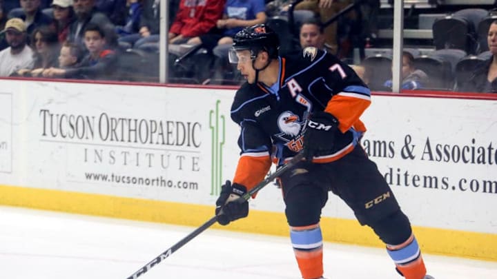 San Diego Gulls defenseman Steve Oleksy (7) handles the puck. (Photo by Jacob Snow/Icon Sportswire via Getty Images)