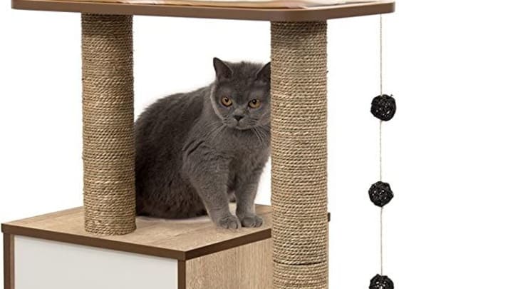 Vesper Cat Tree – Amazon.com