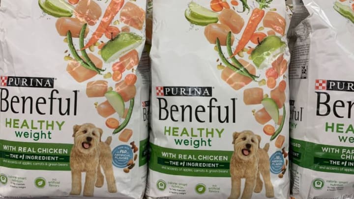 Purina Beneful Healthy Weight with Real Chicken. Photo Credit: Kimberley Spinney