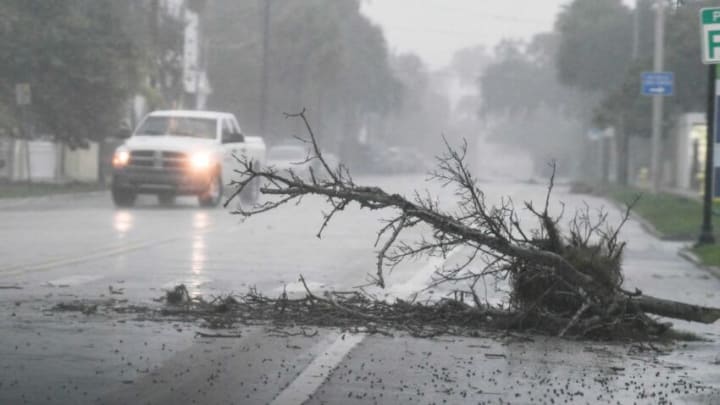 A broken tree limb lies in the street along Highland Av. in the Eau Gallie area of Melbourne. Craig Bailey/FLORIDA TODAY via USA TODAY NETWORKHurricane Ian