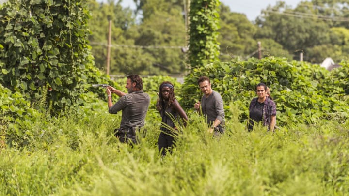 Andrew Lincoln as Rick Grimes, Danai Gurira as Michonne, Ross Marquand as Aaron, Alanna Masterson as Tara Chambler - The Walking Dead _ Season 7, Episode 9 - Photo Credit: Gene Page/AMC