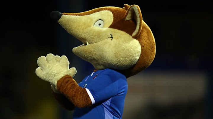 CARLISLE, ENGLAND - OCTOBER 22: Carlisle United mascot Olga the Fox looks on prior to the Sky Bet League Two match between Carlisle United and Northampton Town at Brunton Park on October 22, 2019 in Carlisle, England. (Photo by Pete Norton/Getty Images)