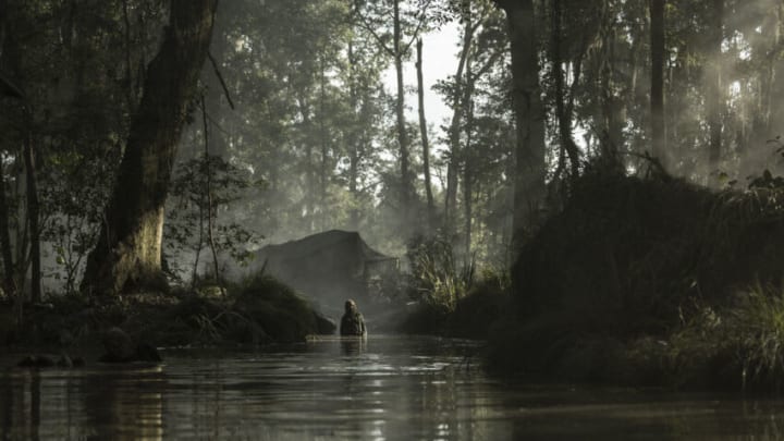 - Fear the Walking Dead _ Season 8 - Photo Credit: Lauren 'Lo' Smith/AMC