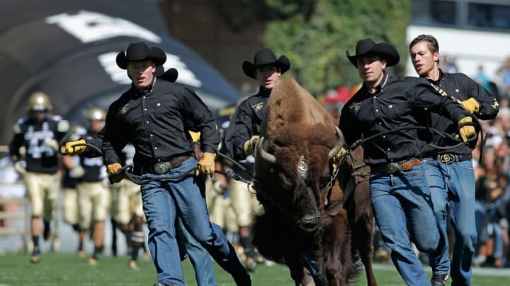 BOULDER, CO - SEPTEMBER 20: Ralphie V the mascot of the Colorado Buffaloes takes the field as the Hawaii Rainbow Warriors face the Colorado Buffaloes at Folsom Field on September 20, 2014 in Boulder, Colorado. The Buffaloes defeated the Warriors 21-12. (Photo by Doug Pensinger/Getty Images)