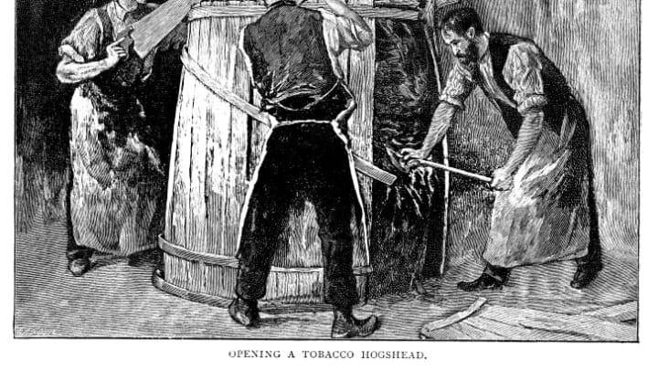 Black and white engraving of three men opening a hogshead barrel