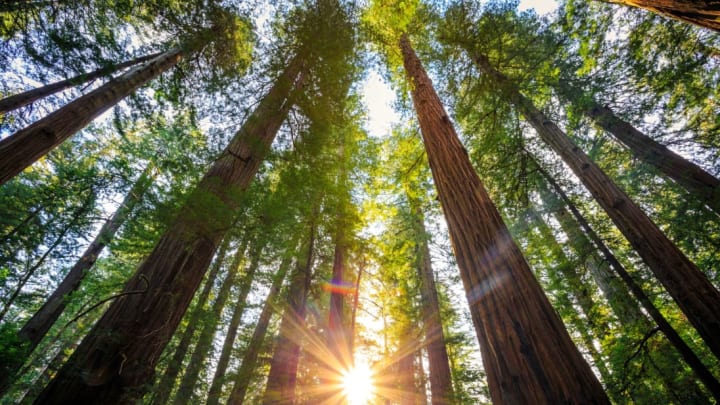 Bartfett/iStock via Getty Images Bartfett/iStock via Getty Images