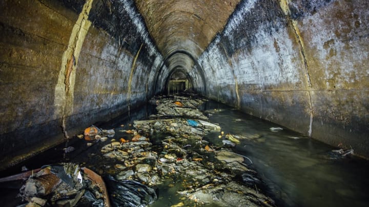 Vladimir Zapletin/iStock via Getty Images