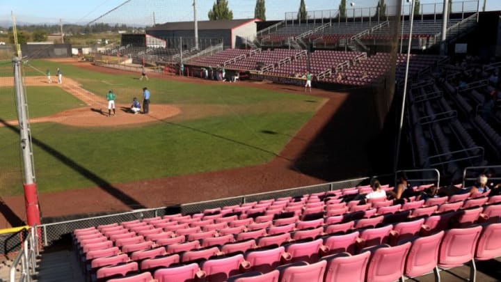 Family and friends watch as the Titans and Seeds play at Volcanoes Stadium in Keizer, Oregon, on Wednesday, July 22, 2020. The Titans rented the stadium out on Airbnb.
Volcanoes Stadium Available To Rent On Airbnb