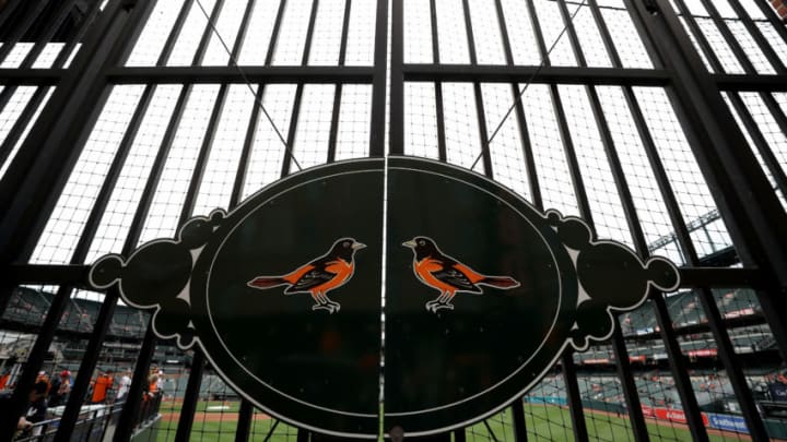 BALTIMORE, MARYLAND - APRIL 04: A general view from the outfield before the start of the Baltimore Orioles and New York Yankees game at Oriole Park at Camden Yards on April 04, 2019 in Baltimore, Maryland. (Photo by Rob Carr/Getty Images)