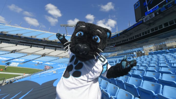Sep 13, 2020; Charlotte, North Carolina, USA; Carolina Panthers mascot in the fourth quarter at Bank of America Stadium. Mandatory Credit: Bob Donnan-USA TODAY Sports