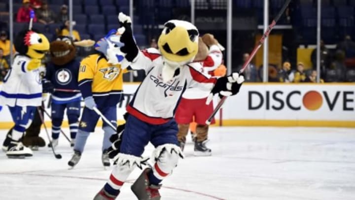 Jan 30, 2016; Nashville, TN, USA; Washington Capitals mascot Slapshot celebrates after a goal during the NHL Mascot Challenge before the 2016 NHL All Star Game Skills Competition at Bridgestone Arena. Mandatory Credit: Christopher Hanewinckel-USA TODAY Sports Jan 30, 2016; Nashville, TN, USA; Washington Capitals mascot Slapshot celebrates after a goal during the NHL Mascot Challenge before the 2016 NHL All Star Game Skills Competition at Bridgestone Arena. Mandatory Credit: Christopher Hanewinckel-USA TODAY Sports