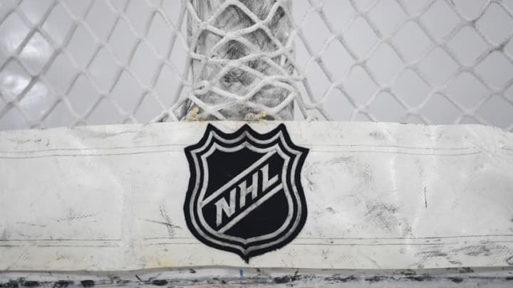 CHICAGO, IL - JANUARY 22: A general view of an NHL logo on the back of a net during warms up prior to a game between the Chicago Blackhawks and the Tampa Bay Lightning on January 22, 2018, at the United Center in Chicago, IL. (Photo by Patrick Gorski/Icon Sportswire via Getty Images)