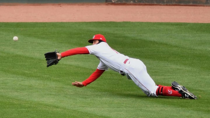 Nick Senzel #15 of the Cincinnati Reds makes a diving catch for an out.