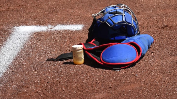 Chicago Cubs (Photo by Lisa Blumenfeld/Getty Images)