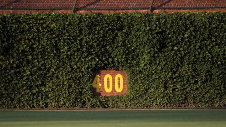 Dan Kolko takes a closer look at the ivy at Wrigley Field 