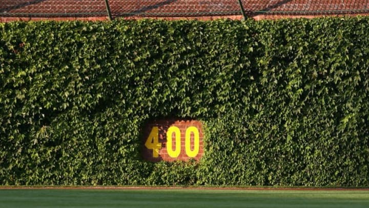 wrigley field ivy background