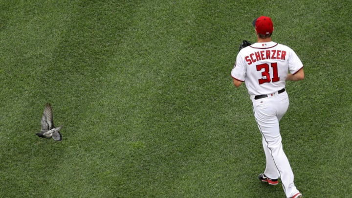 WASHINGTON, DC - JULY 27: Starting pitcher Max Scherzer WASHINGTON, DC - JULY 27: Starting pitcher Max Scherzer