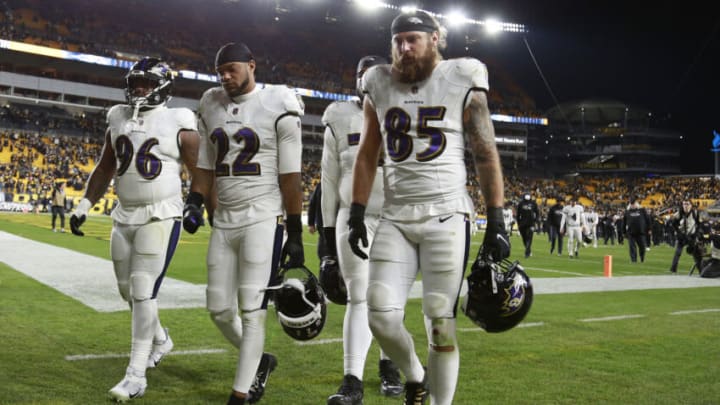 Ravens (Photo by Justin K. Aller/Getty Images)