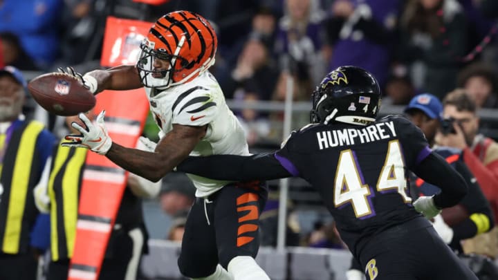 Ravens. (Photo by Todd Olszewski/Getty Images) Ravens. (Photo by Todd Olszewski/Getty Images)