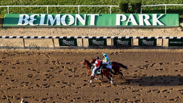 Jun 6, 2015; Elmont, NY, USA; American Pharoah (5) walks by the Belmont Park sign after winning the 2015 Belmont Stakes at Belmont Park. American Pharoah won all three legs of the Triple Crown. Mandatory Credit: Brad Penner-USA TODAY Sports