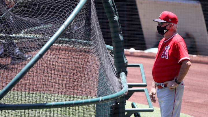 Los Angeles Angels Manager Joe Maddon (Photo by Sean M. Haffey/Getty Images)