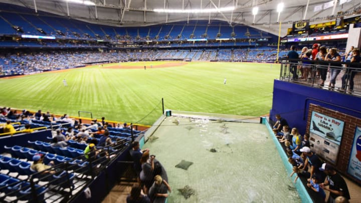 ST PETERSBURG, FL - SEPTEMBER 29: Fans enjoy the stingray tank during the sixth inning of a game against the Tampa Bay Rays and the Toronto Blue Jays on September 29, 2018 at Tropicana Field in St Petersburg, Florida. (Photo by Julio Aguilar/Getty Images)
