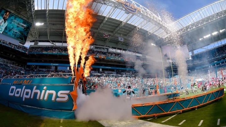 Oct 9, 2016; Miami Gardens, FL, USA; Miami Dolphins wide receiver Jarvis Landry (14) is introduced before game against the Tennessee Titans at Hard Rock Stadium. Mandatory Credit: Steve Mitchell-USA TODAY Sports