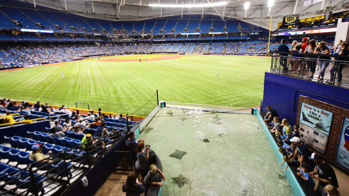 Tampa Bay Rays  (Photo by Julio Aguilar/Getty Images)