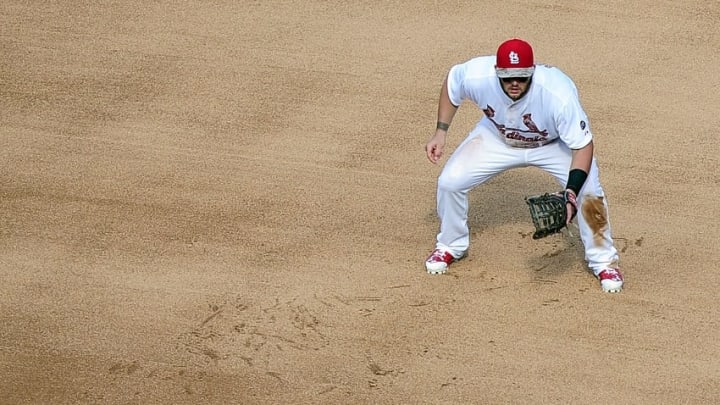 May 25, 2015; St. Louis, MO, USA; St. Louis Cardinals first baseman 