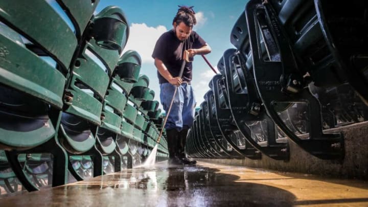 Shone Haas, an employee of ASI, pressure washes ground between stadium seats at Roger Dean Stadium Friday, February 9, 2018, in preparation of the start of the upcoming spring training baseball season. (Damon Higgins / The Palm Beach Post)Roger Dean 2020 101