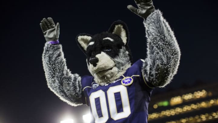 STANFORD, CA - OCTOBER 5: Harry the Husky, the mascot of the Washington Huskies, waves to spectators before a game between the Stanford Cardinal and the Washington Huskies on October 5, 2013 at Stanford Stadium in Stanford, California. (Photo by Stephen Lam/Getty Images)