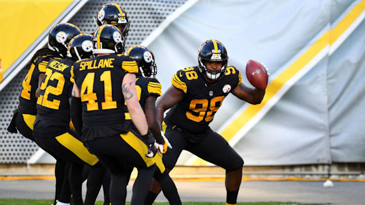 Vince Williams #98 of the Pittsburgh Steelers (Photo by Joe Sargent/Getty Images)