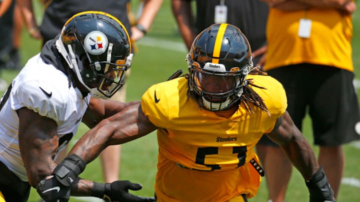 Buddy Johnson #51 of the Pittsburgh Steelers (Photo by Justin K. Aller/Getty Images)