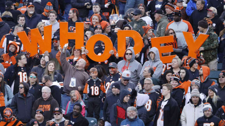 CINCINNATI, OH - NOVEMBER 26: Cincinnati Bengals fans are seen in the second half of a game against the Cleveland Browns at Paul Brown Stadium on November 26, 2017 in Cincinnati, Ohio. The Bengals won 30-16. (Photo by Joe Robbins/Getty Images)