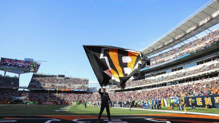 Cincinnati Bengals (Photo by Silas Walker/Getty Images)