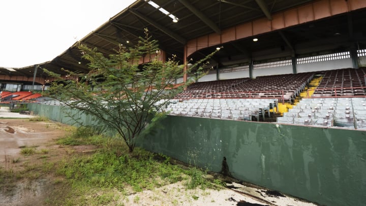 CAGUAS, PUERTO RICO – NOVEMBER 14: A view of weeds growing in left field of the Yldefonso Sola Morrales Stadium in Caguas, Puerto Rico on November 14, 2018. It was of the home of the Puerto Rican baseball League team the Criollos de Caguas. The stadium is scheduled to be demolished due to the heavy damage caused by Hurricane Maria.  (Photo by Al Bello/Getty Images for Lumix)