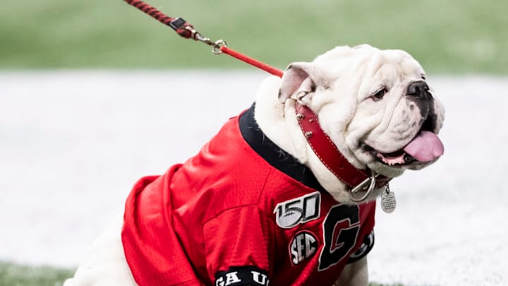 An Atlanta Braves bulldog in the draft? It's happened before. (Photo by Steve Limentani/ISI Photos/Getty Images) An Atlanta Braves bulldog in the draft? It's happened before. (Photo by Steve Limentani/ISI Photos/Getty Images)