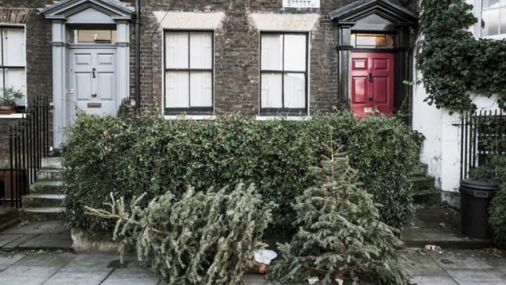 LONDON, ENGLAND - JANUARY 05: Discarded Christmas trees lie outside houses in Angel on January 5, 2018 in London, England. In the lead up to Christmas a pine tree is the centre point of a home, the pride and joy of the family, decorated with beautiful lights and decorations guarding presents until Christmas Day morning. Traditionally, trees and decorations are taken down on Twelfth Night, leaving these once loved and cherished trees serving no purpose and finding themselves cast out into the street ending up as Lonely Christmas Trees. (Photo by Gareth Cattermole/Getty Images)