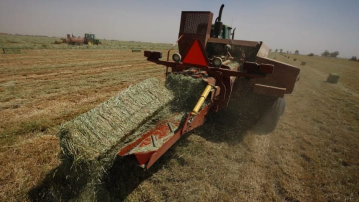 IMPERIAL VALLEY, CA - AUGUST 12: Baling grass for sale on a farm in Imperial Valley, California, 12 August 2009. (Photo by Brent Stirton/Getty Images)