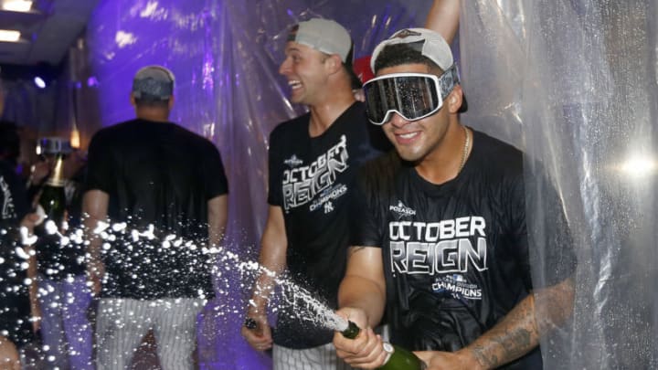 Gleyber Torres #25 of the New York Yankees celebrates (Photo by Elsa/Getty Images)